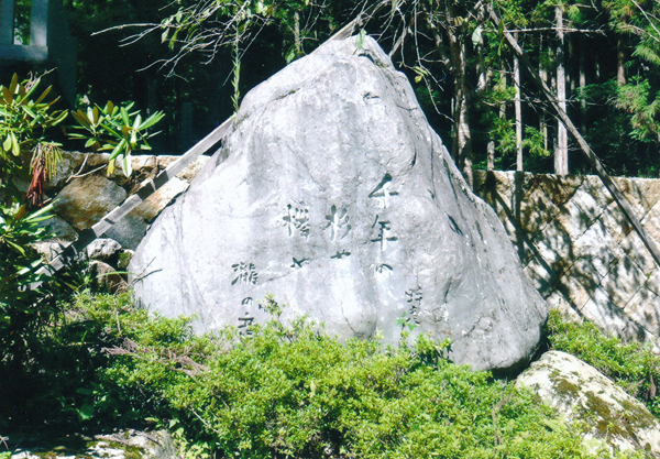自然石